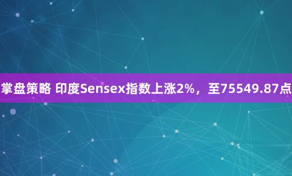掌盘策略 印度Sensex指数上涨2%，至75549.87点