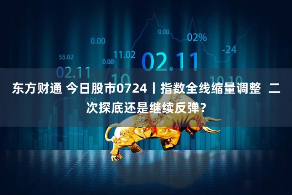 东方财通 今日股市0724丨指数全线缩量调整  二次探底还是继续反弹？
